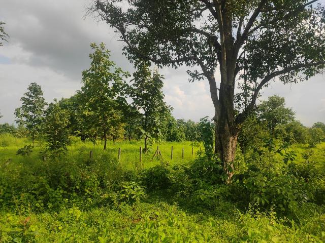 Land for sale in MIDC, Murbad