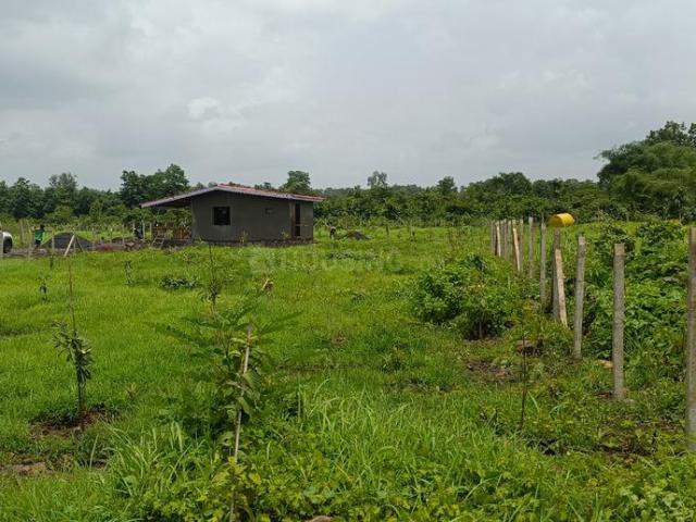 Land for sale in Murbad, Thane