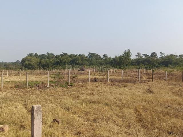 Land for sale in Murbad, Thane