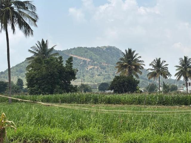 Land for sale in Sultanapete, Chikkaballapura