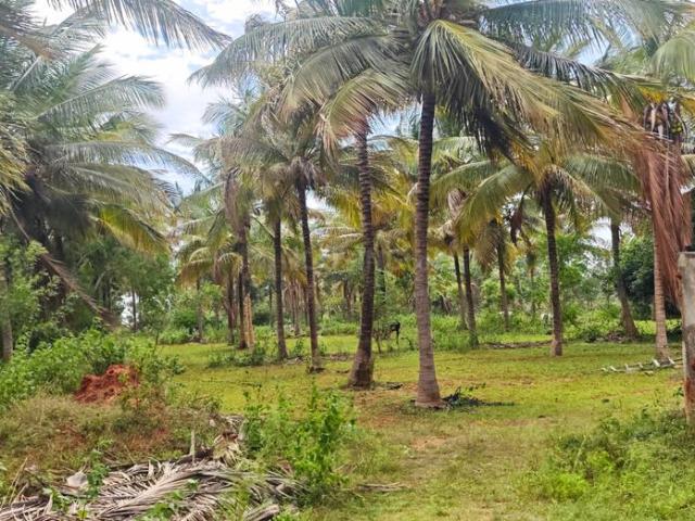 Land for sale in Karnataka