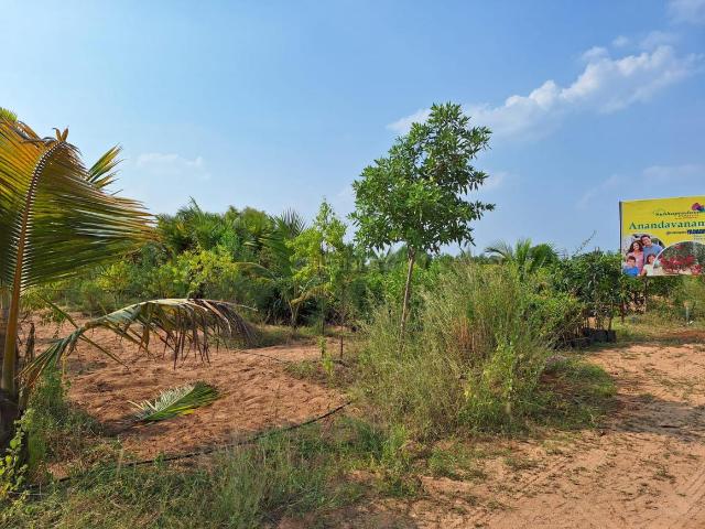 Land for sale in Narayankhed, Telangana