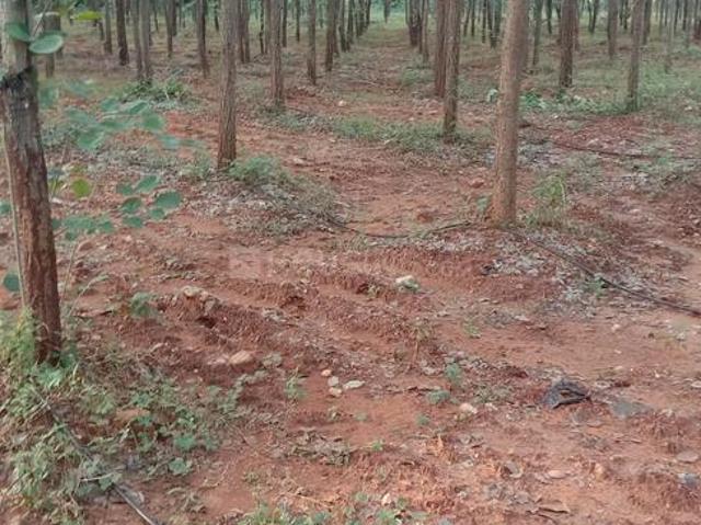 Land for sale in Narayankhed, Telangana