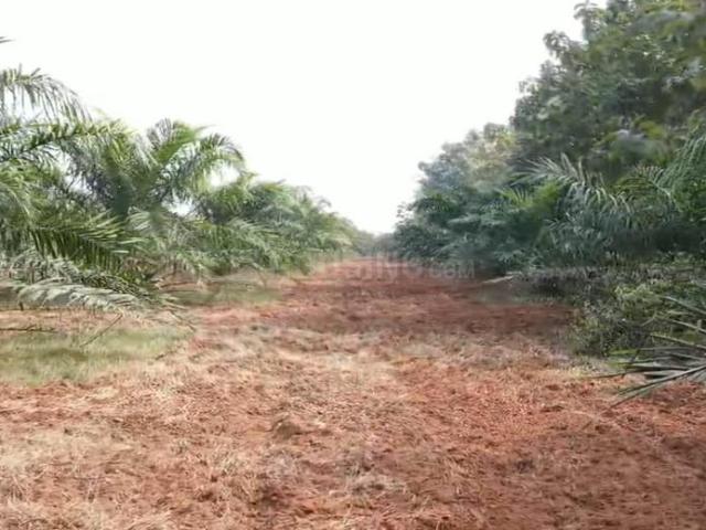 Land for sale in Narayankhed, Telangana