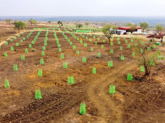 Land for sale in Narayankhed, Telangana