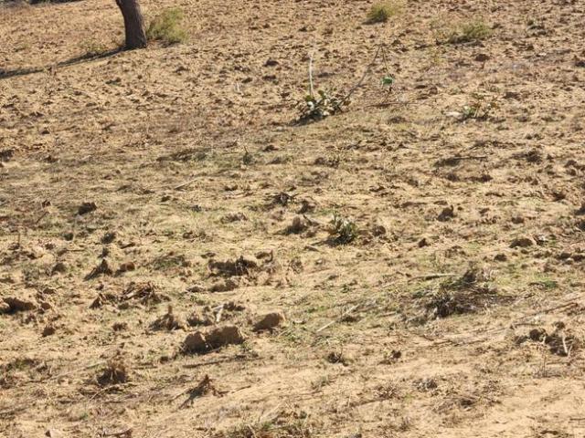 Land for sale in Alwar, Rajasthan