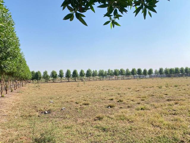 Land for sale in Chhattisgarh
