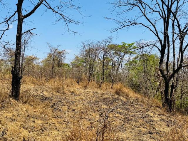 Land for sale in Parali, Raigad