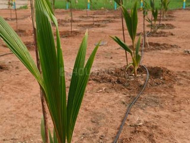 Land for sale in Madurantakam, Tamil Nadu