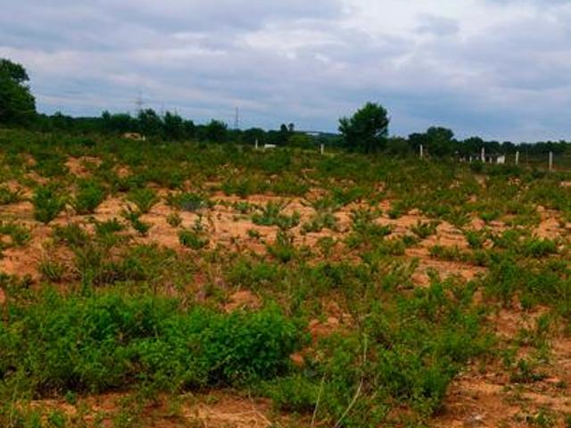 Land for sale in Ranga Reddy, Shadnagar