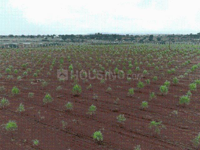 Land for sale in Rayachoti, Andhra Pradesh