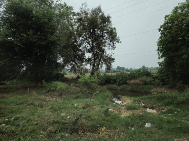 Land for sale in Kiraoli, Arunachal Pradesh