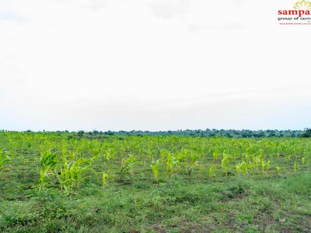 Land for sale in Sadasivpet, Telangana