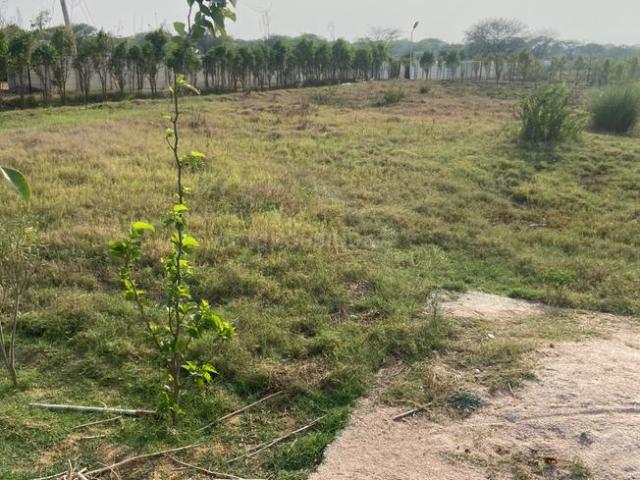 Land for sale in Hariana