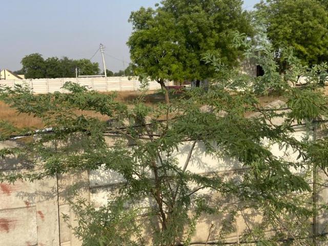 Land for sale in Hariana