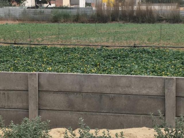 Land for sale in Hariana