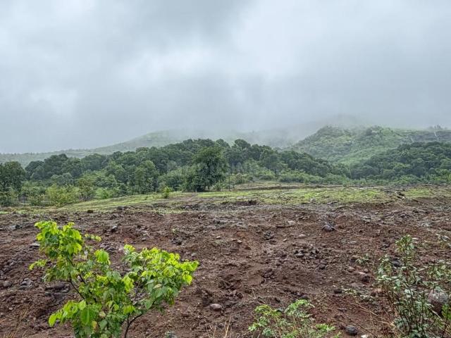 Land for sale in Asvalipada, Asvali Harsh