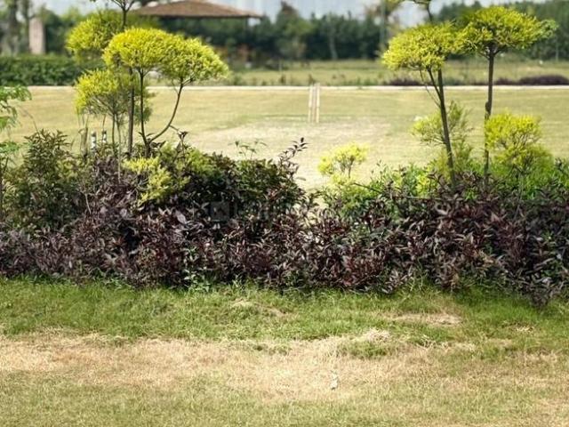Land for sale in Greater Noida - Delhi, Arunachal Pradesh