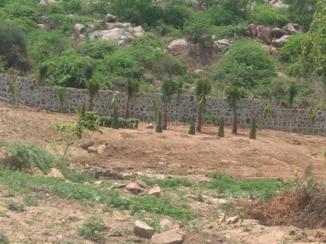 Land for sale in Hariana
