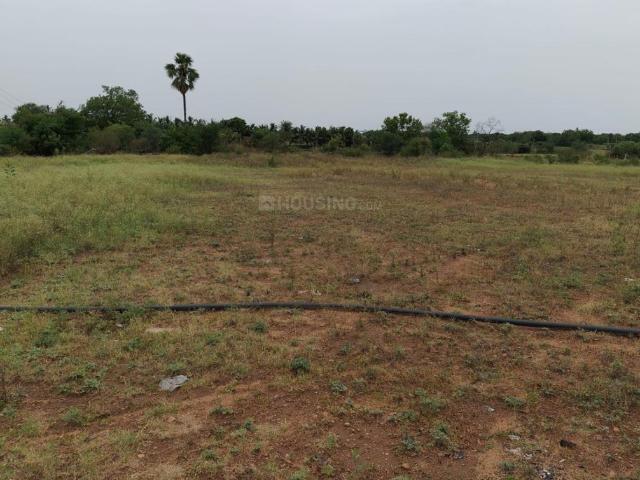 Land for sale in Ranga Reddy, Shadnagar
