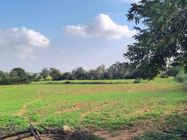 Land for sale in Ranga Reddy, Telangana