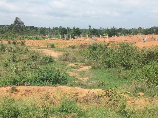 Land for sale in Karnataka