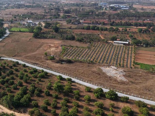 Land for sale in Srinivaspur, Karnataka