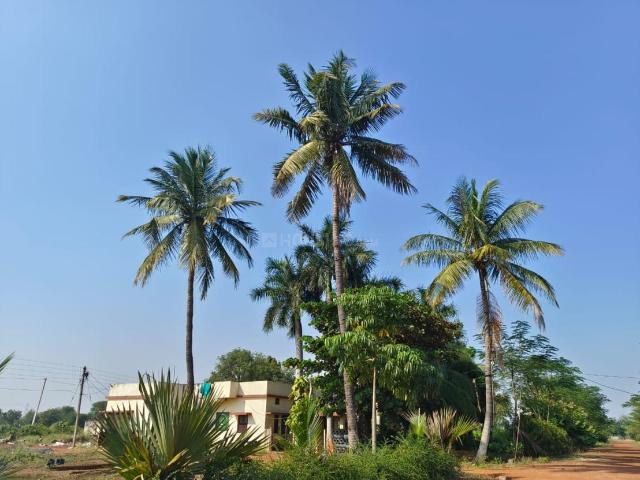 Land for sale in Raipur, Chhattisgarh