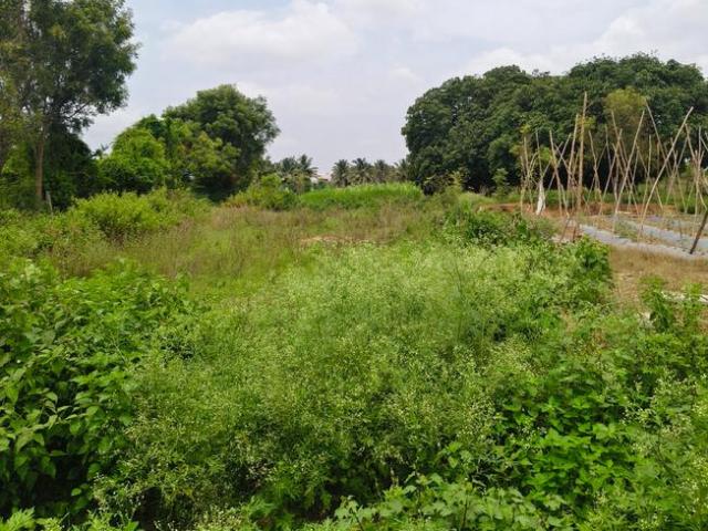 Land for sale in Bangalore South, Karnataka