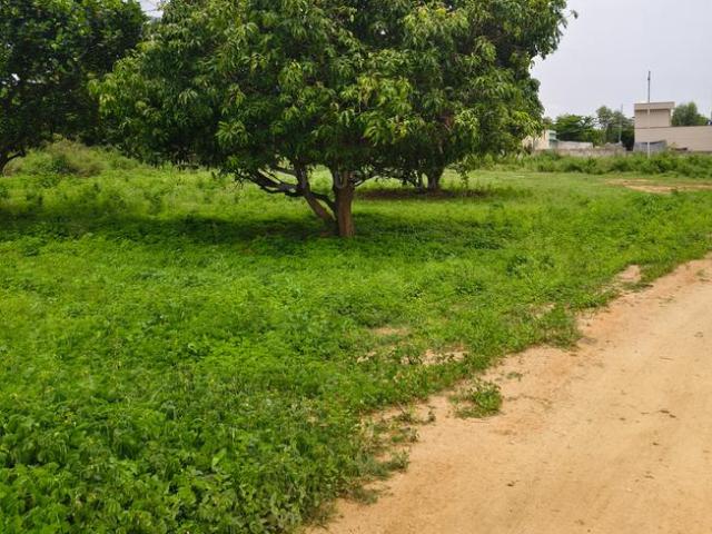 Land for sale in Bangalore South, Karnataka