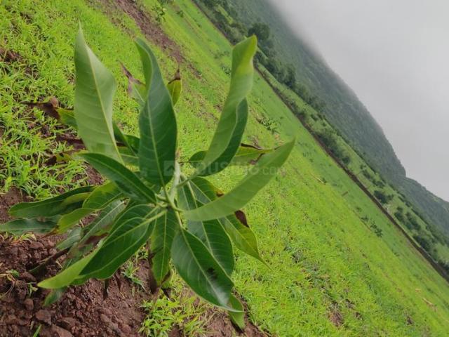 Land for sale in Trimbak, National Capital Territory Of Delhi