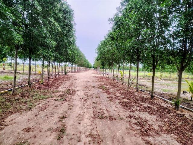 Land for sale in Uttiramerur, Tamil Nadu