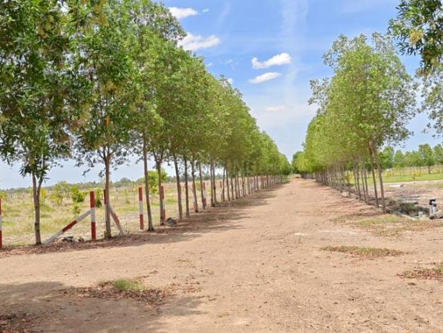 Land for sale in Uttiramerur, Kanchipuram