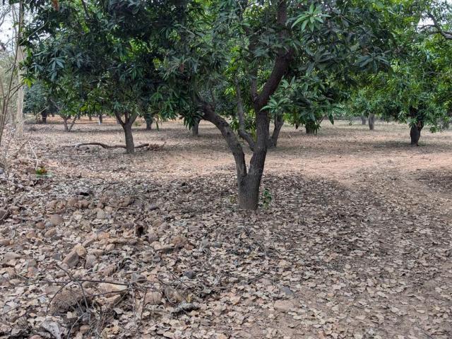Land for sale in Tamil Nadu