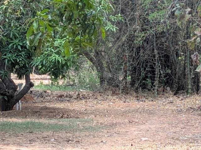 Land for sale in Tamil Nadu