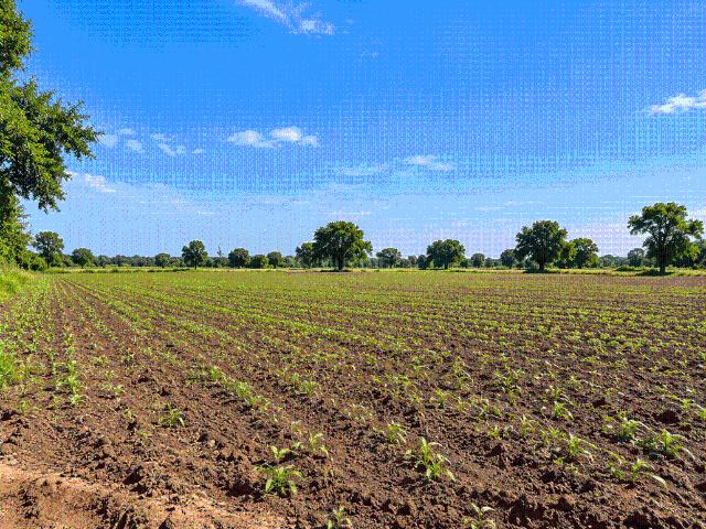 Land for sale in Gandhinagar, Gujarat