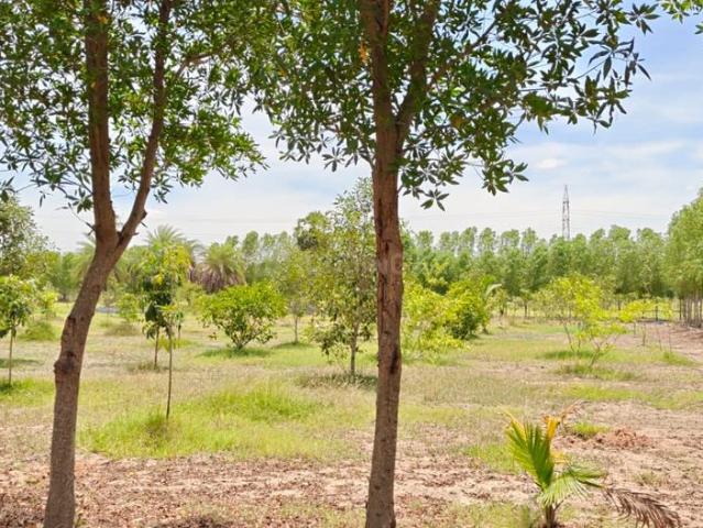 Land for sale in Madurantakam, Tamil Nadu