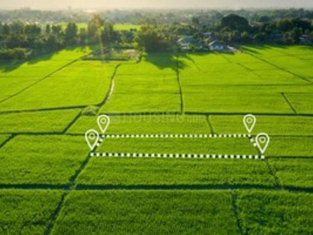Land for sale in Viramgam, Gujarat