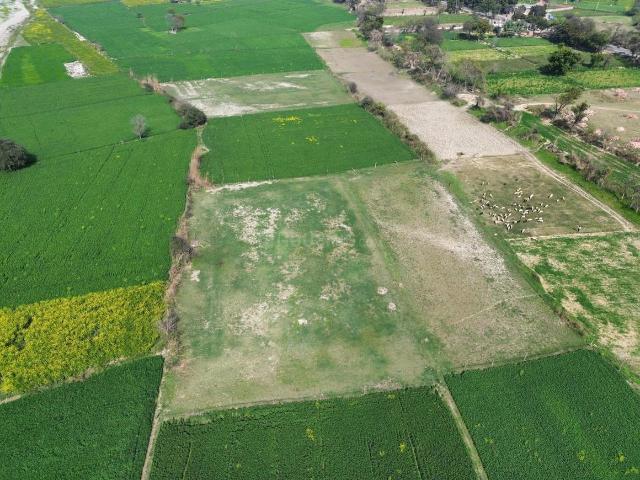 Land for sale in Mathara, Arunachal Pradesh