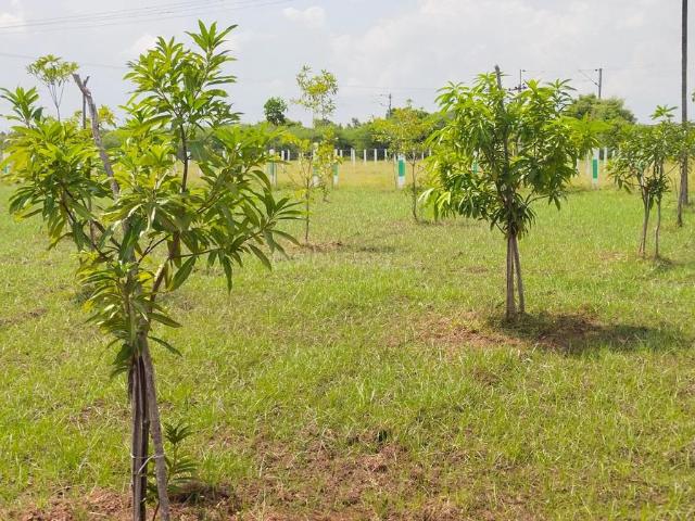 Land for sale in Walajabad, Tamil Nadu