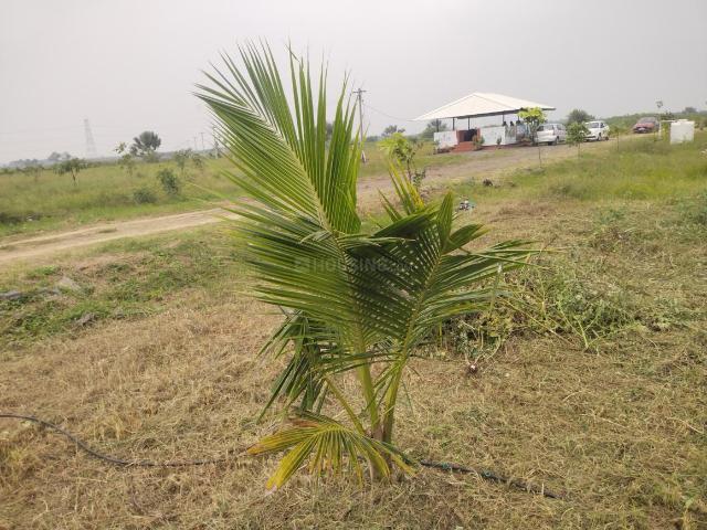 Land for sale in Walajabad, Tamil Nadu