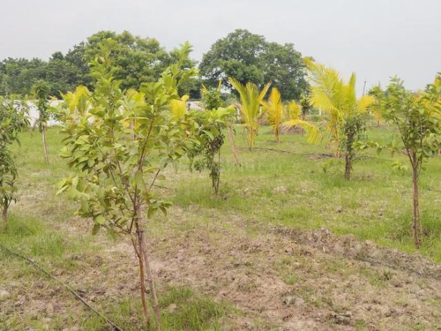 Land for sale in Walajabad, Tamil Nadu