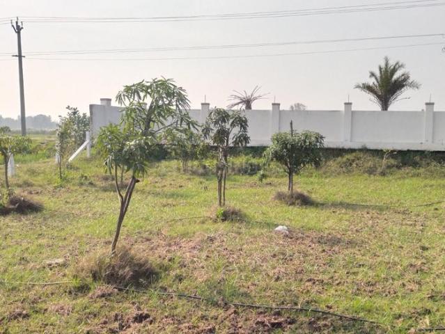 Land for sale in Walajabad, Tamil Nadu