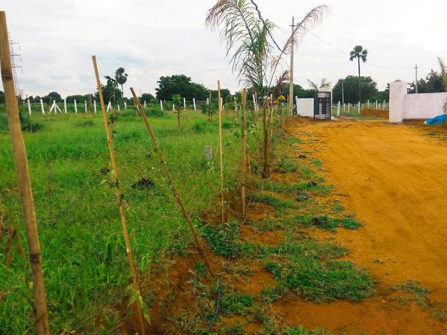 Land for sale in Telangana