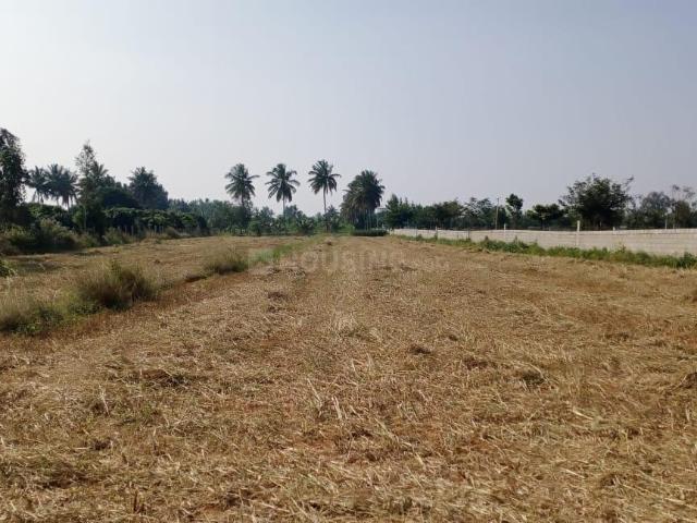 Land for sale in Karnataka