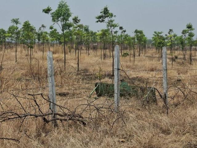 Land for sale in Zahirabad, Telangana