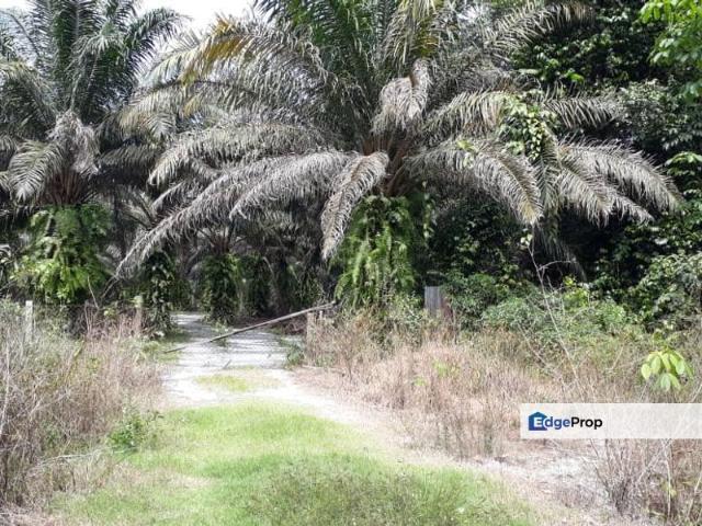 Shop for sale in Perak, Kampar