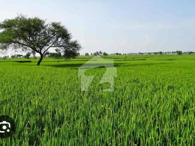 Land for sale in Rawalpindi, Islamabad Capital Territory