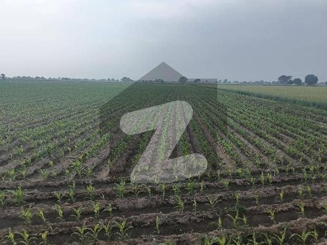 Land for sale in Multan, Islamabad Capital Territory