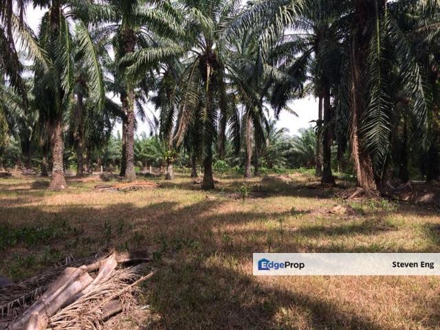 Shop for sale in Perak